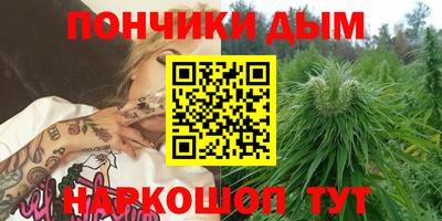 сатива Краснокаменск