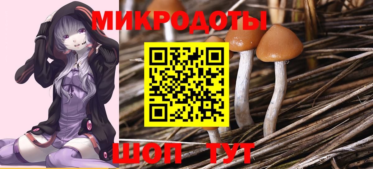 Галлюциногенные грибы Psilocybe Каменск-Шахтинский