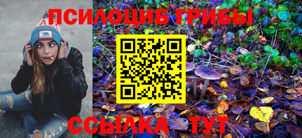 купить наркотик  Псилоцибиновые грибы Magic Shrooms  Вход с VPN  Галлюциногенные грибы мухоморы  Каменск-Шахтинский 