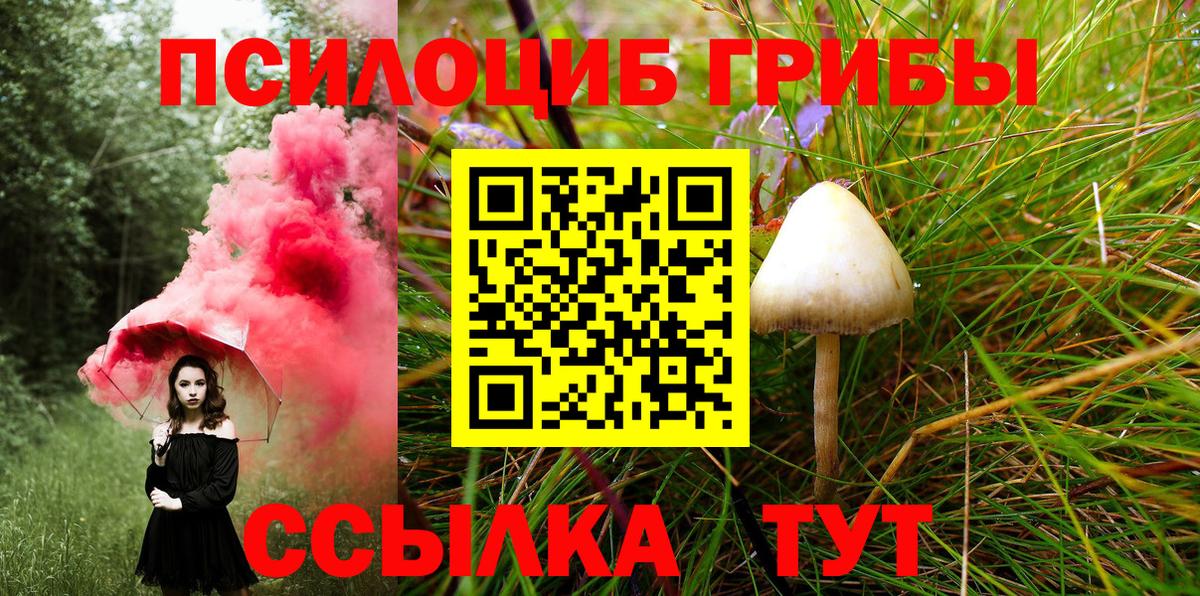 купить наркоту  Каменск-Шахтинский  Псилоцибиновые грибы GOLDEN TEACHER 