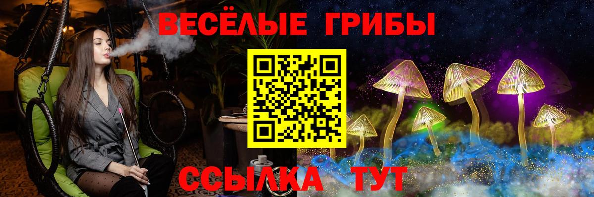 Псилоцибиновые грибы ЛСД Каменск-Шахтинский